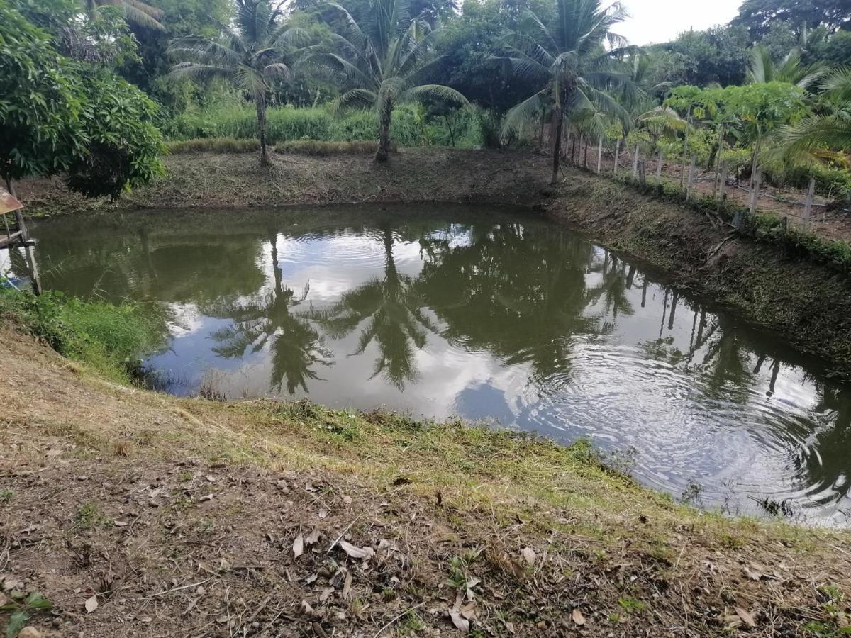 Sameikei Homestay Phrae Buitenkant foto